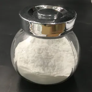 Shandong Guowei Chemical company news — sodium bicarbonate export updates and industry insights